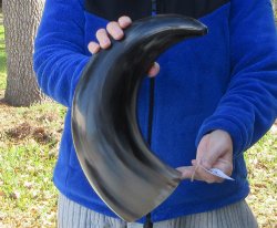 21 Inch Wide Base, ...