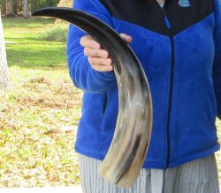 23-3/4 Inch Wide Ba...