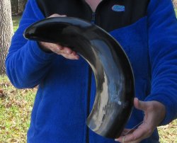 22 Inch Wide Base, ...