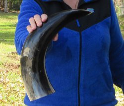 21-1/2 Inch Wide Ba...