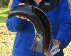 22 Inch Wide Base, ...