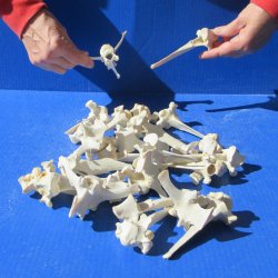 Twenty Five piece W...