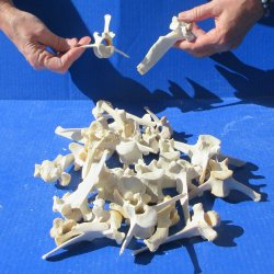 Twenty Five piece W...