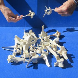 Twenty Five piece W...