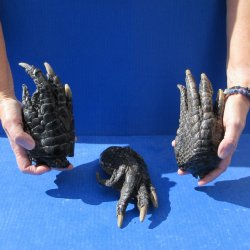 Three Preserved All...