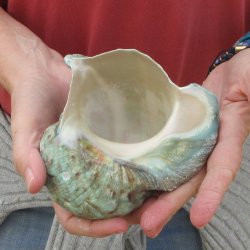 5 inch Turbo Marmor...