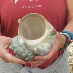 5 inch Turbo Marmor...