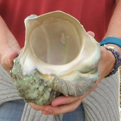 6 inch Turbo Marmor...