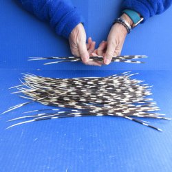 One Hundred B-Grade...