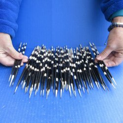 FiftyThick African ...