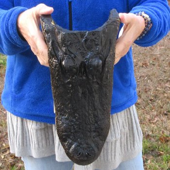14" Alligator Head 