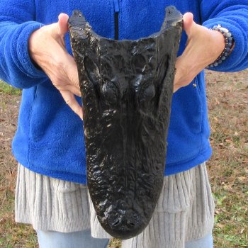 14" Alligator Head 