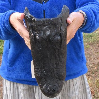 13" Alligator Head 