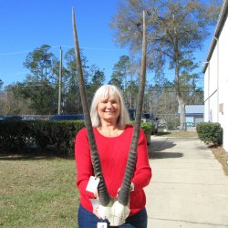 Gemsbok Skull Plate...