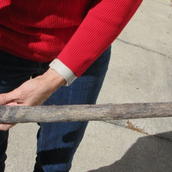 15" Gemsbok Skull with 36" Horns 