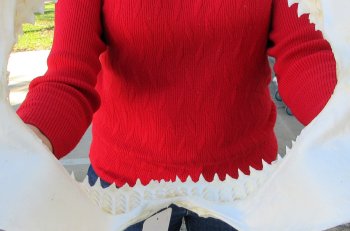 14-1/2 inch Bull shark jaw (Carcharhinus leucas) for sale - $170