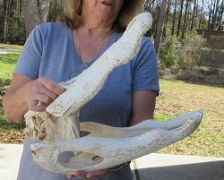 20 inch Florida All...