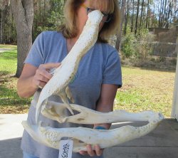 21 inch Florida All...