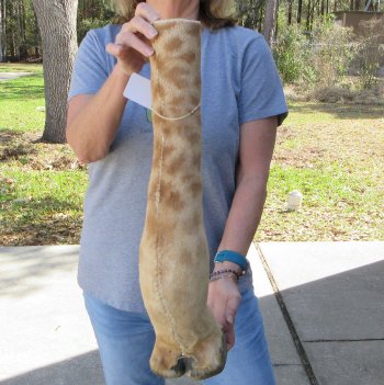 23 inch tall Giraffe Foot Mount
