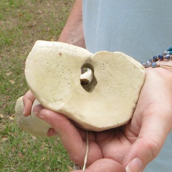 28" Giraffe Metacarpal Leg Bone 