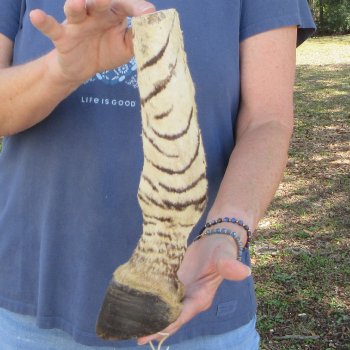 11" Zebra Foot Mount 