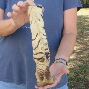 11" Zebra Foot Mount 