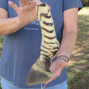 11" Zebra Foot Mount 