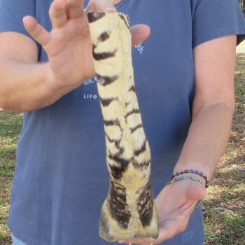 11" Zebra Foot Mount 