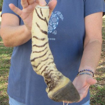 11" Zebra Foot Mount 