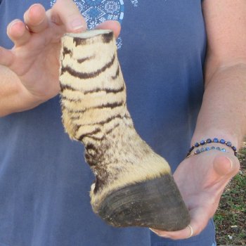 7" Zebra Foot Mount 