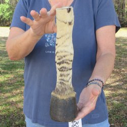 11" Zebra Foot...