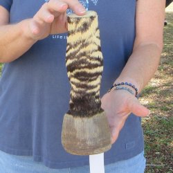 8" Zebra Foot ...