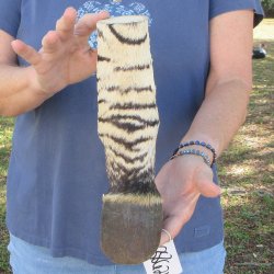 10" Zebra Foot...