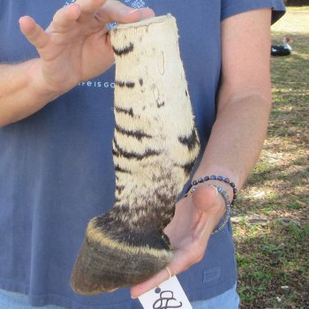 10" Zebra Foot Mount 