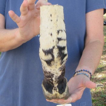 10" Zebra Foot Mount 