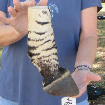 10" Zebra Foot Mount 