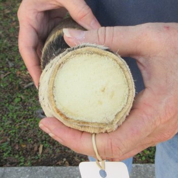 10" Zebra Foot Mount 