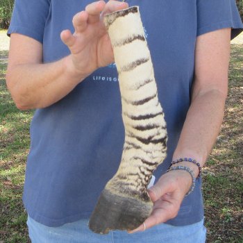 12" Zebra Foot Mount 