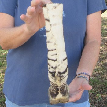 12" Zebra Foot Mount 