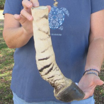 12" Zebra Foot Mount 