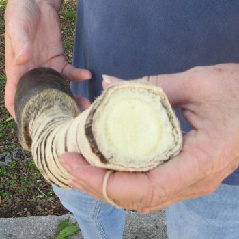 12" Zebra Foot Mount 