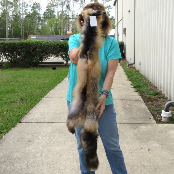 52" Cross Fox Pelt, Tanned Hide