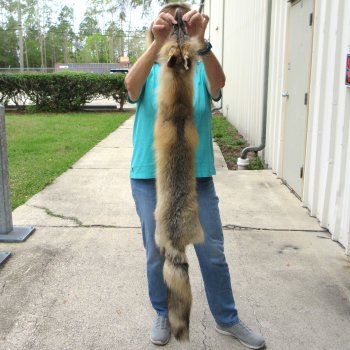 54" Cross Fox Pelt, Tanned Hide