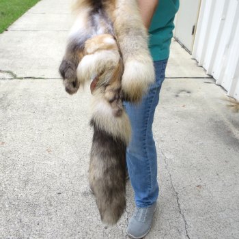 54" Cross Fox Pelt, Tanned Hide