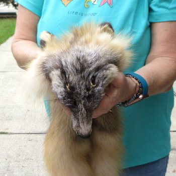 54" Cross Fox Pelt, Tanned Hide