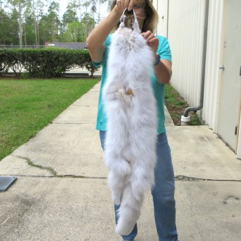 44" Artic Fox Fur Pelt, Tanned Hide 