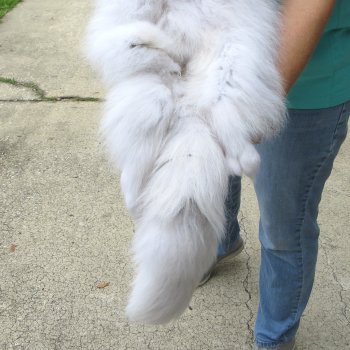 44" Artic Fox Fur Pelt, Tanned Hide 