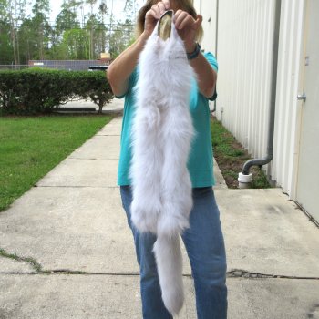 42-1/2" Artic Fox Fur Pelt, Tanned Hide 