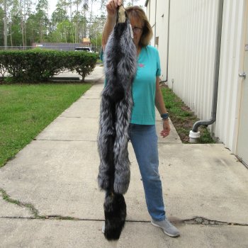 59" Silver Fox Pelt, Tanned Hide