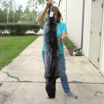 59" Silver Fox Pelt, Tanned Hide